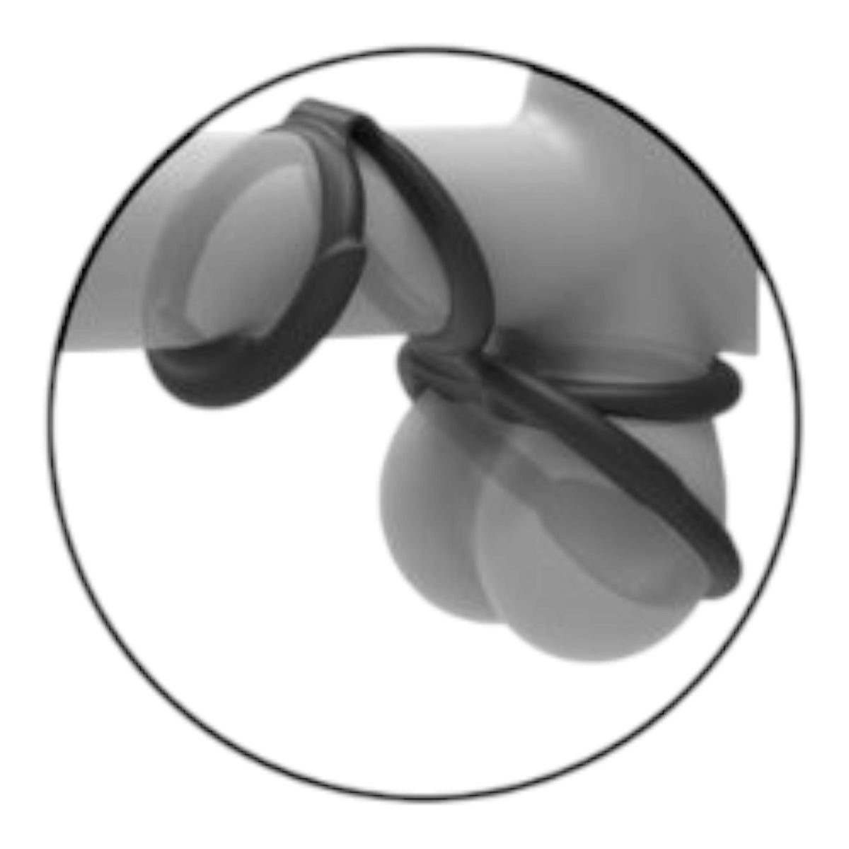Cock & Scrotum Rings: El Dúo de Control Total