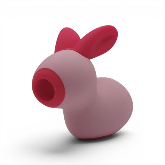 Joy Jumper Rabbit: El Conejo del Gozo