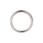 Silver Ring: El Anillo de Plata Todo Propósito